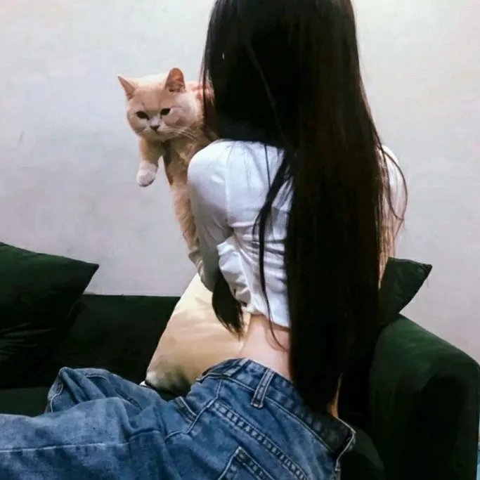 灵肉再生