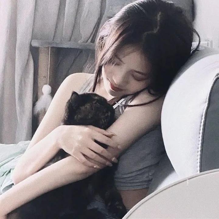 板砖在手，天下我有